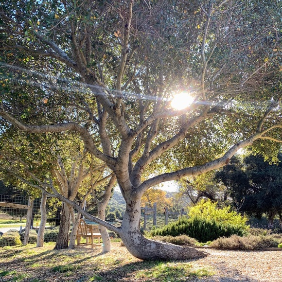 Meet your Posher, Erica - Picture 5 of 5